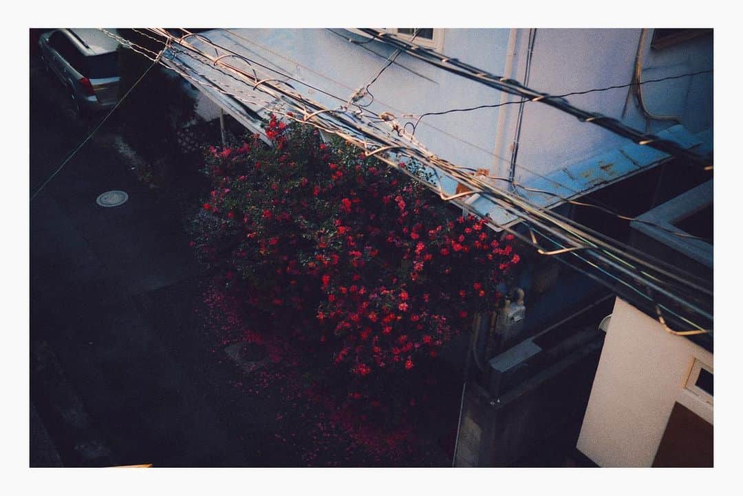Kaiさんのインスタグラム写真 - (KaiInstagram)「daily walk around the town」1月26日 21時46分 - kaitaro.k