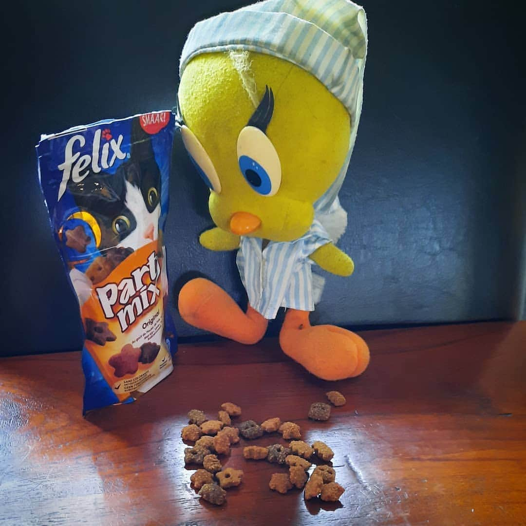 Little Yellow Birdさんのインスタグラム写真 - (Little Yellow BirdInstagram)「Oops, wrong party mix...is it edible, you think?? #honeygroveteapartytuesday #littleyellowbird #tweety #tweetykweelapis #adventures #yellow #bird #tuesday #partymix #forcats #oops #imgoingtotry #imsureitwontkillme #snack #felix #stuffedanimalsofinstagram #plushiesofinstagram」1月26日 22時11分 - tweetykweelapis