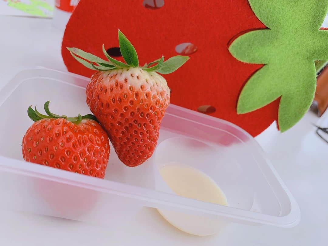 内木志のインスタグラム：「いちご狩りしてきました🍓 いちご狩りやのに🍒の服着てた🙃 #いちご狩り #🍓 #コロナ陰性でした」