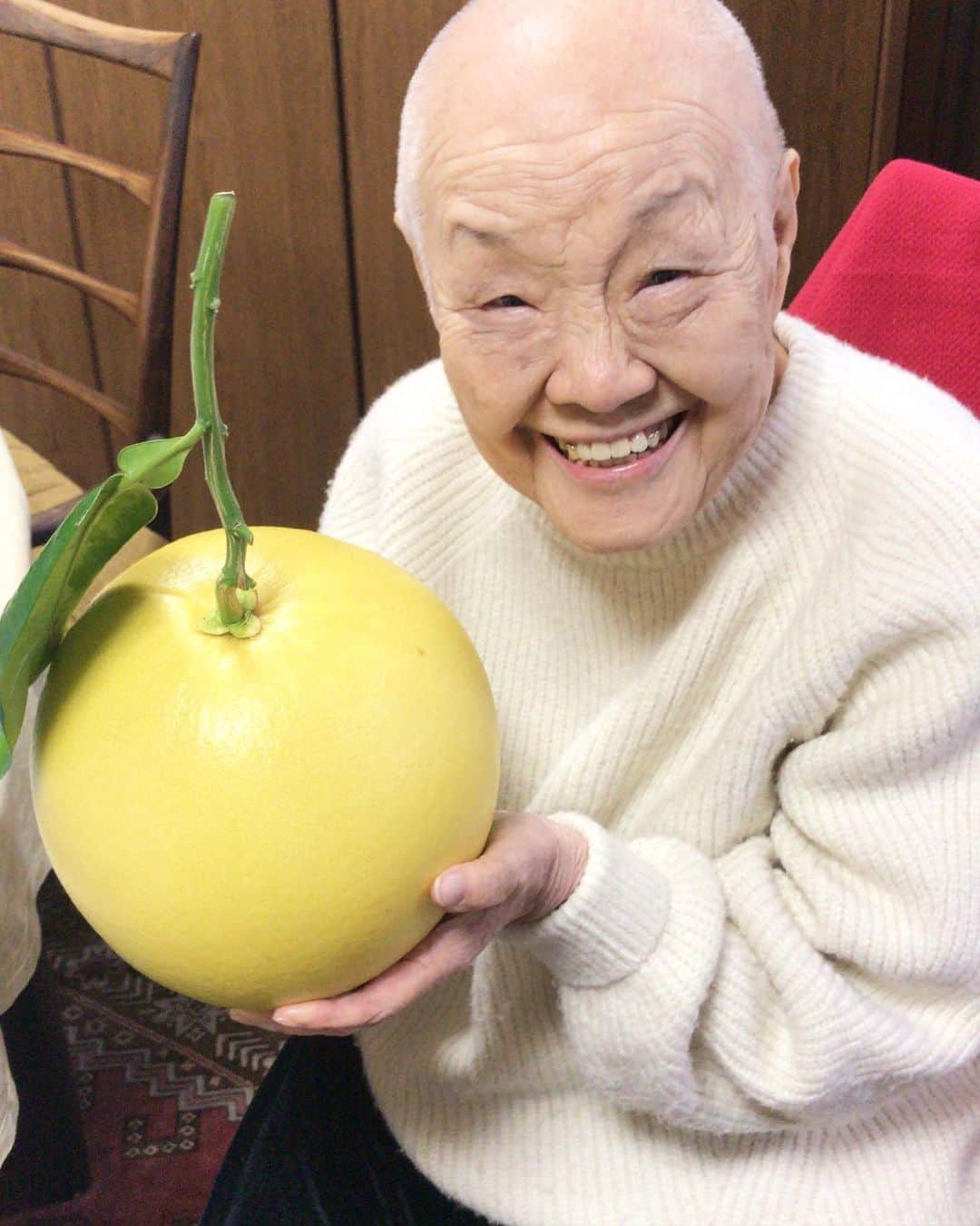 瀬戸内寂聴のインスタグラム：「毎年年末に送っていただく晩白柚🍊 和室に飾ってから、いつもいただいています😊 とても美味しいです！  #晩白柚 #年末年始は必ず #顔と同じ大きさ #柑橘 #瀬戸内寂聴」