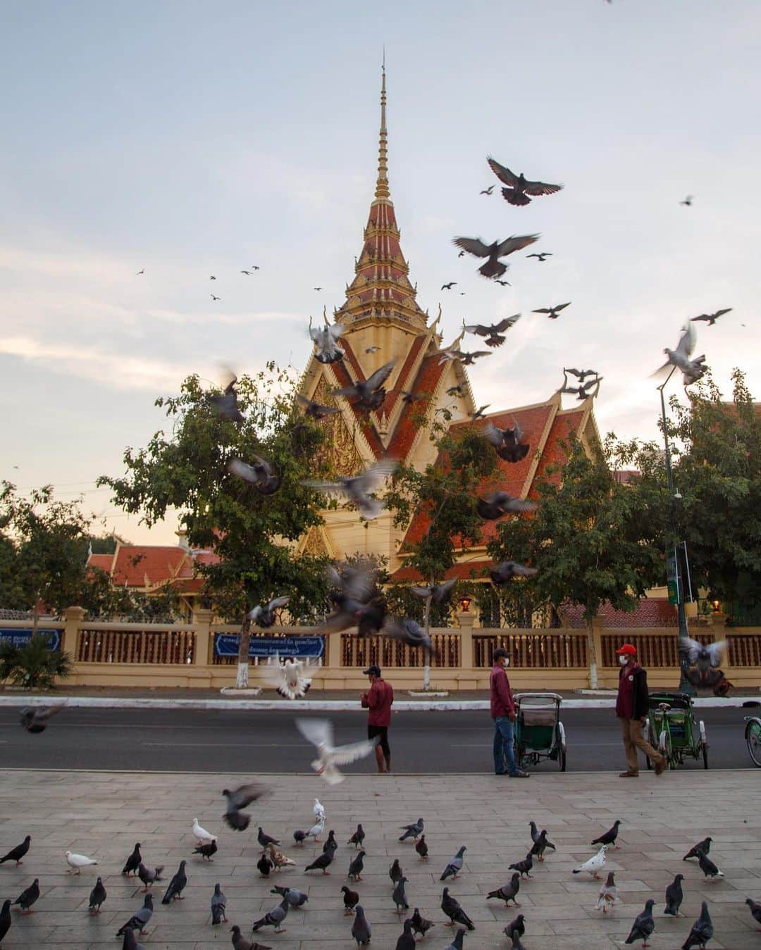 Shunsuke Miyatakeのインスタグラム：「Pigeons to welcome the dawn, Phnom Penh, Cambodia」