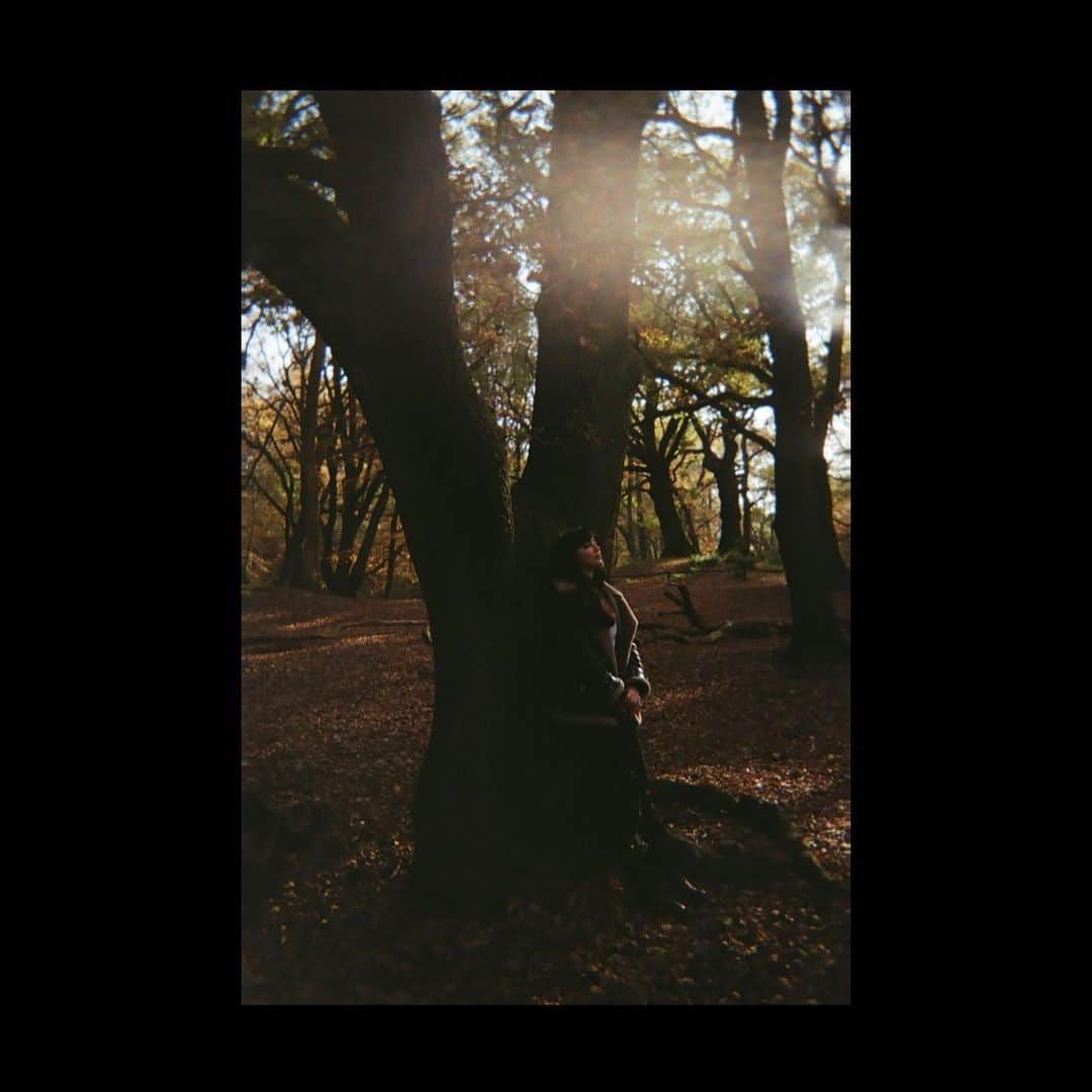 デイジー・ロウのインスタグラム：「In my happiest of happy places, out in nature, hugging special trees with our little pack @jordanjaysaul Kai & Monty by my golden hearted cuz @jadederobles #goldenhour #lockdownlife」