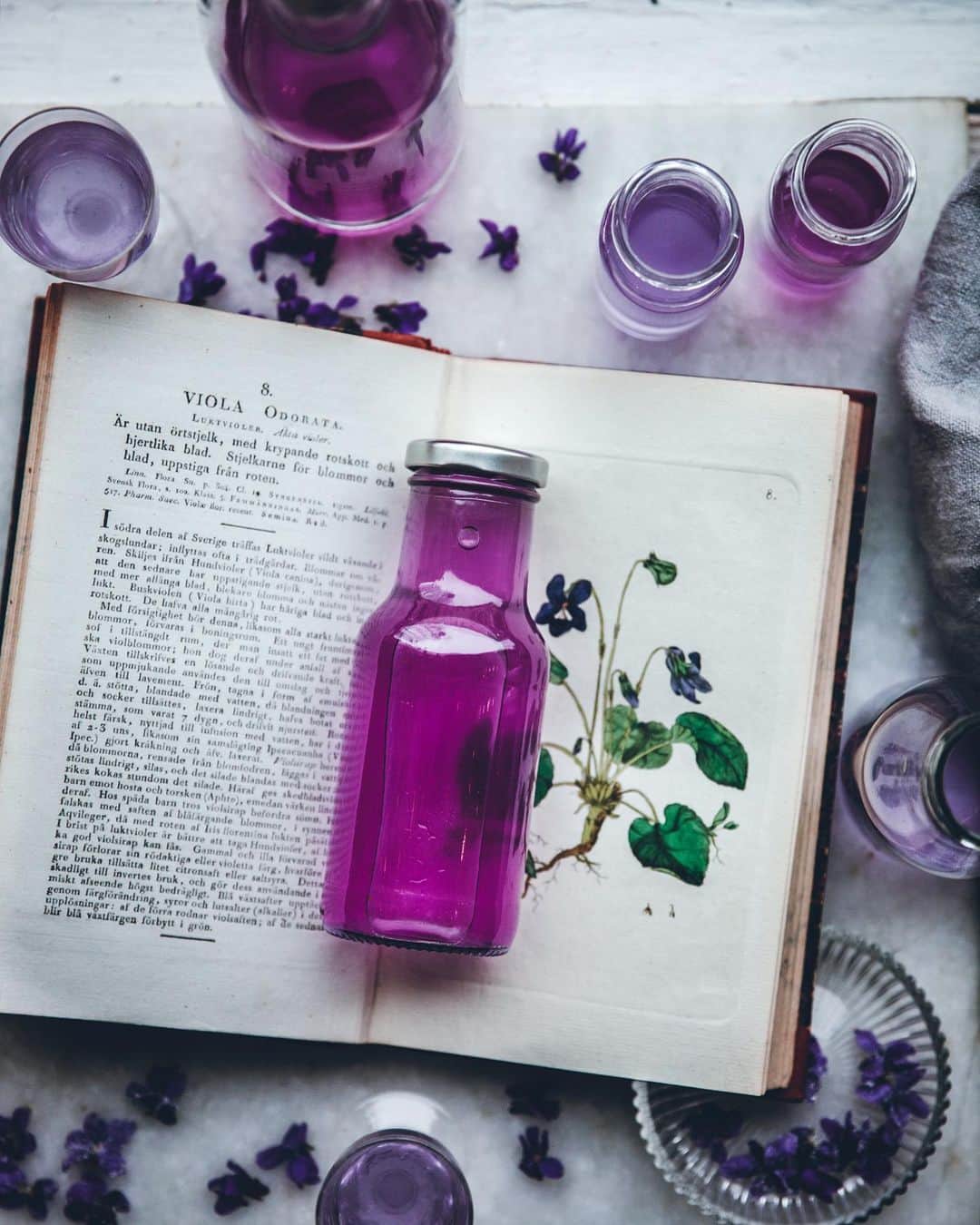 Linda Lomelinoのインスタグラム：「A favorite photo of mine that didn’t make it into @myfeldt’s book and that I don’t think I have posted here before. Beautiful book from @atmosphereantik, and If you can read Swedish, zoom in and see what you can use this flower for 😂💜 Violet cordial」
