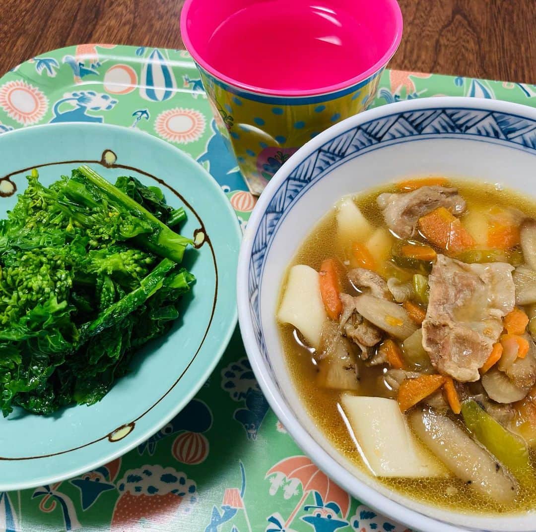 久保ミツロウのインスタグラム：「けんちん汁的なのを大量に作ってたので、ほうとうを買ってきてほうとうにしました。ほうとうの無い国で育ったので、ほうとうの正解は分からない…。子供の頃おばあちゃんが作ってたすいとんを思い出す。 菜の花がそろそろ安く出回ってきたので今年もいっぱい食べたい。 今日は気圧のせいか身体が全然動かず。寝室の大掃除に時間がかかり過ぎ。とはいえずっと荒れてた部屋がやっと片付いたのでホッとしました。  明日もほうとうの残りを食べます。」