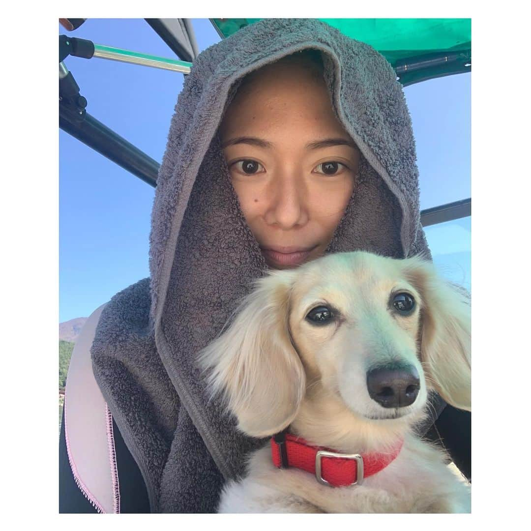 小林由未子さんのインスタグラム写真 - (小林由未子Instagram)「. ななが珍しくカメラ向いてくれた写真🐶 (随分前の写真です)  #タオルぐるぐる巻にして #一応日焼け対策  #いぬすたぐらむ  #いぬのいる暮らし  #いぬのきもち  #ミニチュアダックスフンド  #カニヘンダックス」1月27日 0時07分 - _yumikobayashi_