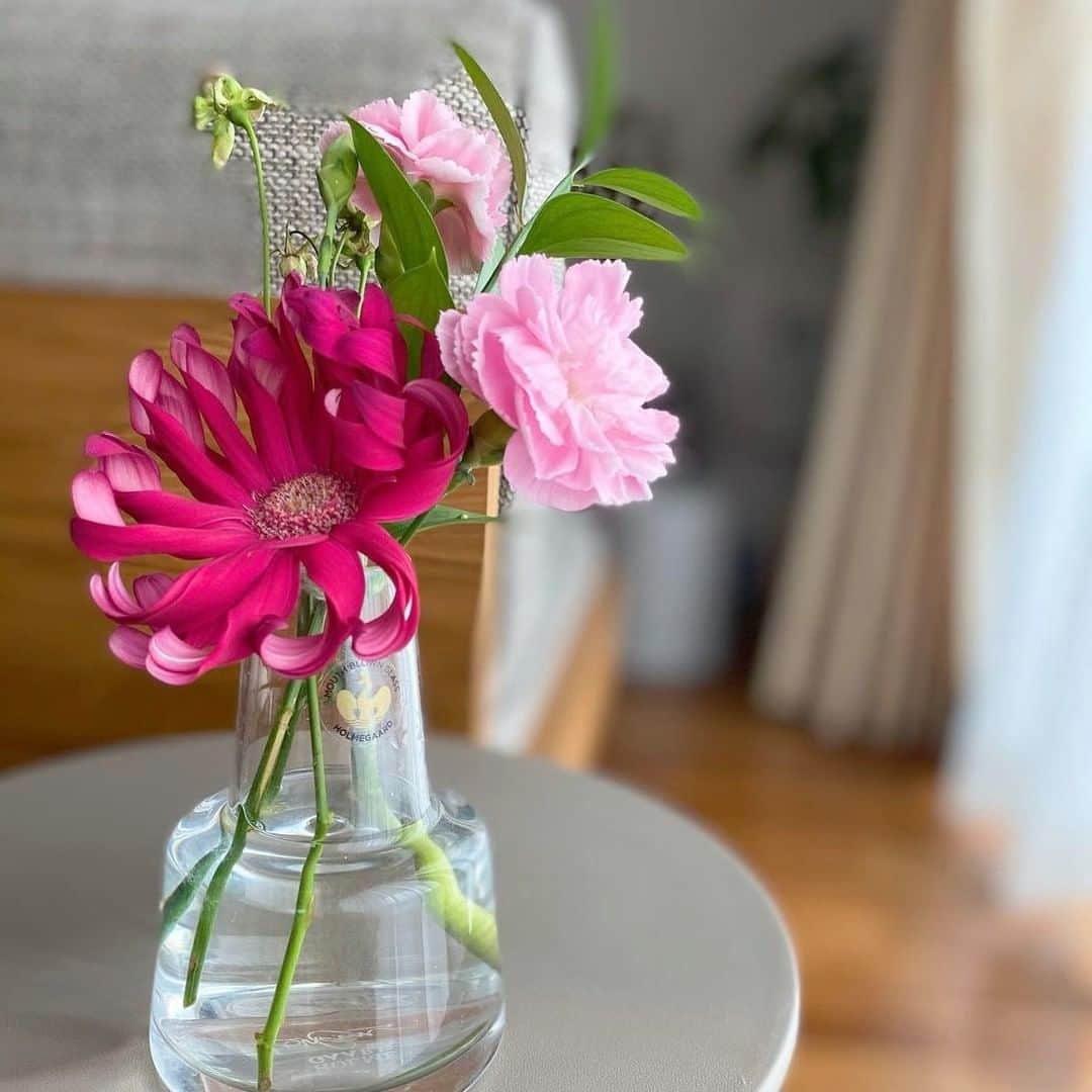 Bloomee LIFEさんのインスタグラム写真 - (Bloomee LIFEInstagram)「花びらのカールが可愛らしい"ガーベラ"は 「パスタローマ」という品種です🌸  濃いピンクと存在感のある姿で お部屋を華やかに演出してくれます🌹✨  いつものお部屋もお花を飾ることで より一層、素敵な空間に🌷  @tmk.1818 さんのお写真  #bloomeelife #ブルーミーライフ #お花の定期便 #プチブーケ #サブスク #花のある生活 #花好きな人と繋がりたい #おうち時間 #花部 #花写真 #花が好き #花を飾る #暮らしを楽しむ #日々の暮らし #丁寧な暮らし #日々 #お花のある暮らし #素敵な休日 #暮らしを整える #くらしのきほん #日々の暮らしを楽しむ #丁寧に暮らす #おうち時間 #インテリアフラワー #ナチュラルインテリア #豊かな暮らし」1月27日 11時00分 - bloomee