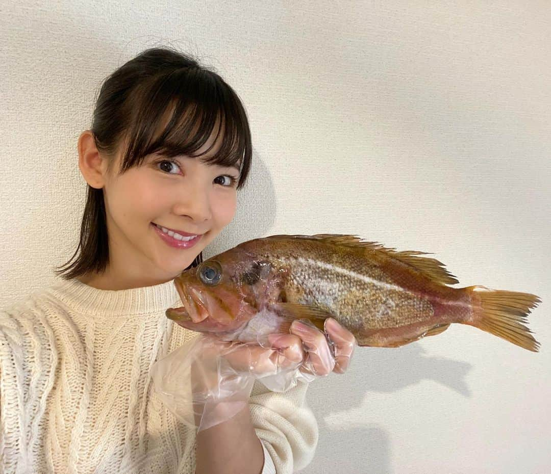 阪本智子さんのインスタグラム写真 - (阪本智子Instagram)「🐟♡ #柳の舞  自分にもまだ知らない魚がいたなんて🤣❕❕ 日本で食べられている魚は大概釣ってきましたが、 この魚は見るのも初めてでした👀✨ 魚屋さんで見つけて思わず購入😂 どんな魚も食べてみないとね💙 ＊ #fish #fishinggirl #fishingmama #boymama #魚 #魚料理 #料理好き #男の子ママ #釣りママ #阪本智子」1月27日 10時11分 - tomoko_sakamoto423