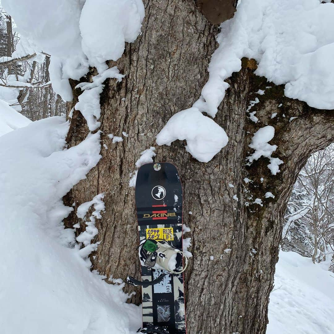 大久保勇利さんのインスタグラム写真 - (大久保勇利Instagram)「ここ何日間 #🏔🌲❄️✨」1月27日 10時10分 - yuriokubo727