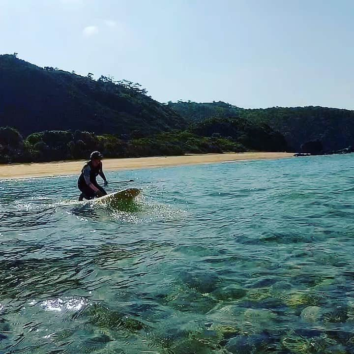 田中律子のインスタグラム