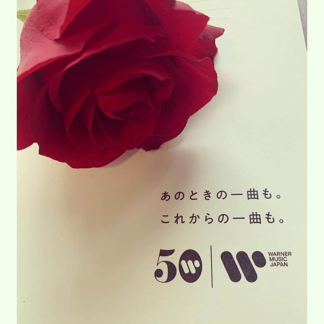 熊木杏里のインスタグラム：「音楽を聴いて切なくなったり 幸せを感じたり。 自分の心が自分で分からない日も あったけれど  誰かの歌を聴いて心が 動くって、何歳になっても 出会いたいものですよね  39歳になりました。 生きてきたようで生かされている。  これからの一曲を。」