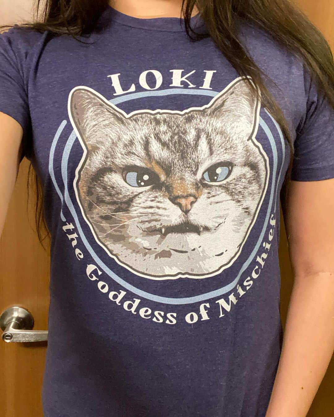 Lokiさんのインスタグラム写真 - (LokiInstagram)「Loki apparel is now live! Limited edition styles available for 21 days. Follow the link in bio to check out the styles and color options 😺 https://www.bonfire.com/loki-the-kitteh/ #catstagram #catsagram #cat #cats #kitten #instacat  #catsofinstagram #catsoninstagram #pet #pets  #cute #cutecat  #instacat_meows #catoftheday #gato #cats_of_instagram  #cutepetclub #thedailykitten  #kittycat #catlover #ilovecats #animals #meow #instacute #photooftheday #animaladdicts #nature_cuties #igcutest_animals」1月27日 2時01分 - loki_kitteh