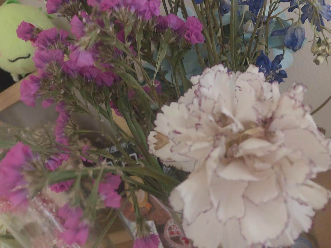 双葉さんのインスタグラム写真 - (双葉Instagram)「年末に飾ったのになかなか枯れないな凄いなーと思ったら暖房ガンガン当たるとこに置いといたもんで水につかりながらドライフラワーになってただけだった💐カーネーションはまだドライになってない元気💐#flower #flowers #dryflower #花のある暮らし」1月27日 1時55分 - chu_z_futaba
