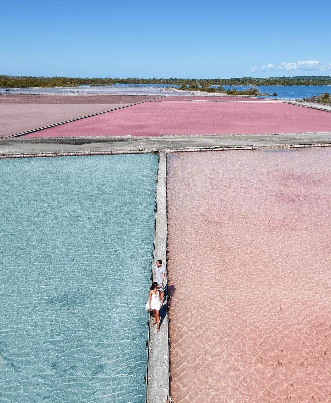 Visit The USAのインスタグラム：「"Magic happens 🌸 Las Salinas de Cabo Rojo is one of the most beautiful and surreal places we’ve been to. These salt flats get a bright pink color due to an alga that lives in them, the more algae the pinker the water gets and the contrast between parcels is stunning!" Have you seen these Salt Flats in Puerto Rico before? #VisitTheUSA 📸 : @elmonalama」