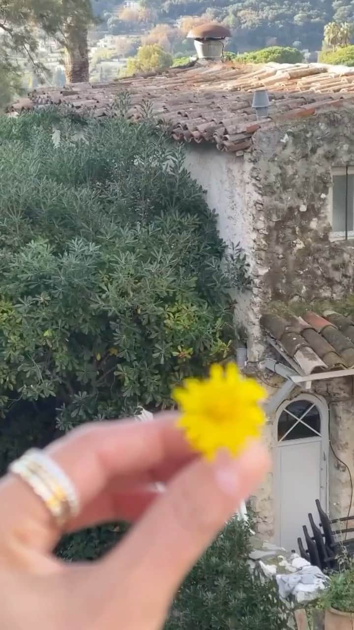 ジュリー・サリニャーナのインスタグラム：「little moments. ✨  what are your favorite life moments?   #reelsinstagram #reels #southoffrance #sincerelyjules」