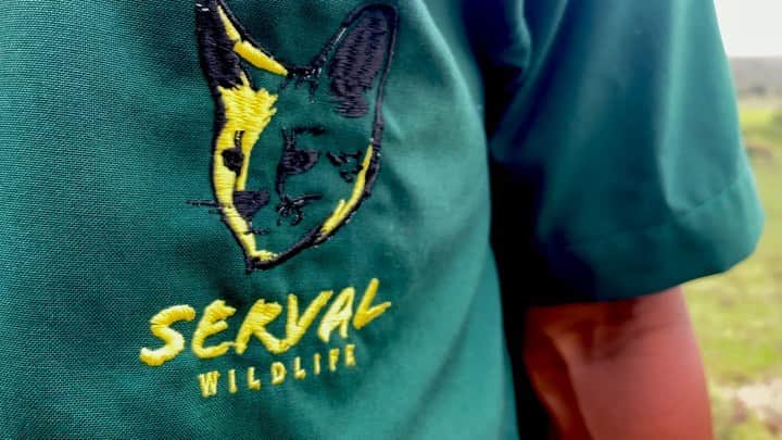 سعودのインスタグラム：「@servalwildlife The world’s first private safari resort where you can interact and feed wildlife. It’s the experience of a lifetime.」