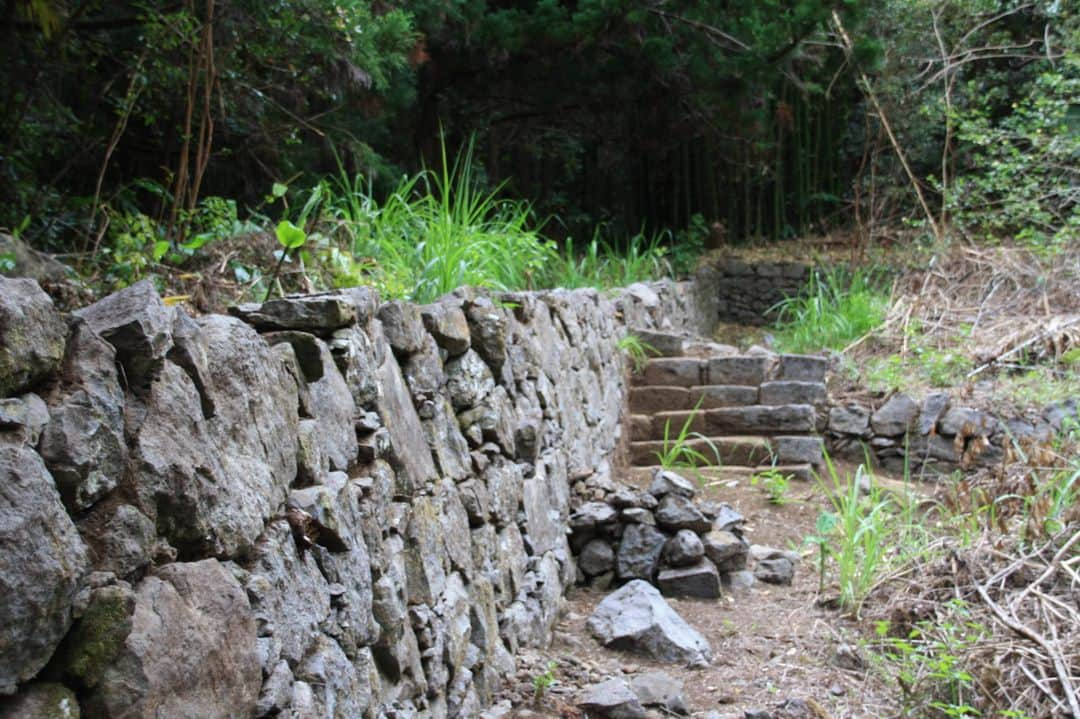 ルモンドさんのインスタグラム写真 - (ルモンドInstagram)「Au détour d'un minuscule sentier tracé à flanc de falaise, enfoui dans la végétation tropicale dévorante de l’île de la Réunion, un ensemble de murs moussus et de ruines de bâtiments apparaît, vestige de la colonie pénitentiaire d’Ilet à Guillaume qui, entre 1864 et 1879, a accueilli entre 3 000 et 4 000 mineurs incarcérés. Le site est perdu sur les hauteurs de Saint-Denis, à plus de deux heures et demie de marche du village de Saint-Bernard.⁣ « Une prison sans barreaux tant les évasions étaient rendues difficiles », décrit Pascale Moignoux, autrice de Graine de Bagnard. Ce roman, paru en 2006 (Surya éditions), a sorti de l’oubli ce pénitencier pour enfants fondé par les missionnaires de la Congrégation du Saint-Esprit en 1843.⁣ Connu des randonneurs, ce site abandonné est inscrit au titre des monuments historiques depuis 2008.⁣ Une étude archéologique et historique est en cours pour mieux connaître le fonctionnement de cette « colonie pénitentiaire agricole » et resituer sa création dans une histoire nationale des « maisons de correction » ou « de redressement » qui ont vu le jour en métropole à partir des années 1830 et un peu plus tard dans les colonies, comme à La Réunion. Ces institutions avaient pour principes directeurs la régénération morale et la rédemption par le travail de la terre et la prière.⁣ A l’origine, les pères espéraient surtout dégager des bénéfices. « Les chantiers étaient surhumains pour des bras d’enfants », souligne Pascale Moignoux qui a retrouvé dans les archives la trace d’une quinzaine de morts et encore plus de blessés.⁣ -⁣ 1 : Une photographie issue des archives de la congrégation qui exploitait la colonie pénitentiaire montre un groupe d’enfants détenus à l’Ilet à Guillaume en 1868, encadrés par un frère spiritain. Photo : Archives photos de la congrégation du Saint-Esprit.⁣ 2 : Les enfants du pénitencier de l’Ilet à Guillaume ont construit des murs et des escaliers afin d’établir des cultures vivrières en terrasses. Un travail surhumain dont témoignent encore ces ruines perdues dans la végétation. Photo : Jérôme Talpin / Le Monde⁣ -⁣ #Histoire #laReunion #archeologie」1月27日 5時00分 - lemondefr