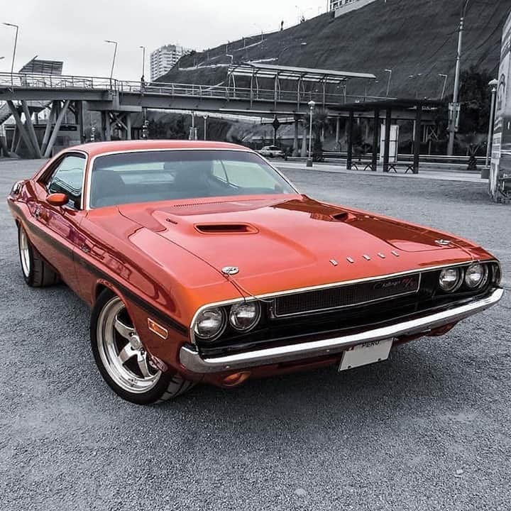 Classics Dailyさんのインスタグラム写真 - (Classics DailyInstagram)「#ClassicsFeature _____ 1970 Dodge Challenger R/T _____ #classiccar #musclecar #americanmuscle #hotrod #protouring #prostreet #restomod #classicsdaily #streetrod #streetcar #customcar #hotrods #streetrods #mopar #dodge #challenger #rt #hemi」1月27日 5時01分 - classicsdaily