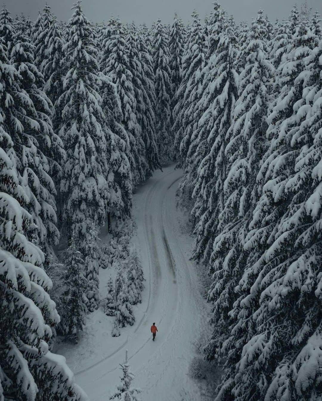 FOLKのインスタグラム：「Some trees. Some mountains. Some warm lighting. Today’s favorites are: 1.) @michielpieters 2.) @zackkcore 3.) @nategaffney 4.) @aedanarnot 5.) @michael._.corona 6.) @frauki 7.) @richbacon」