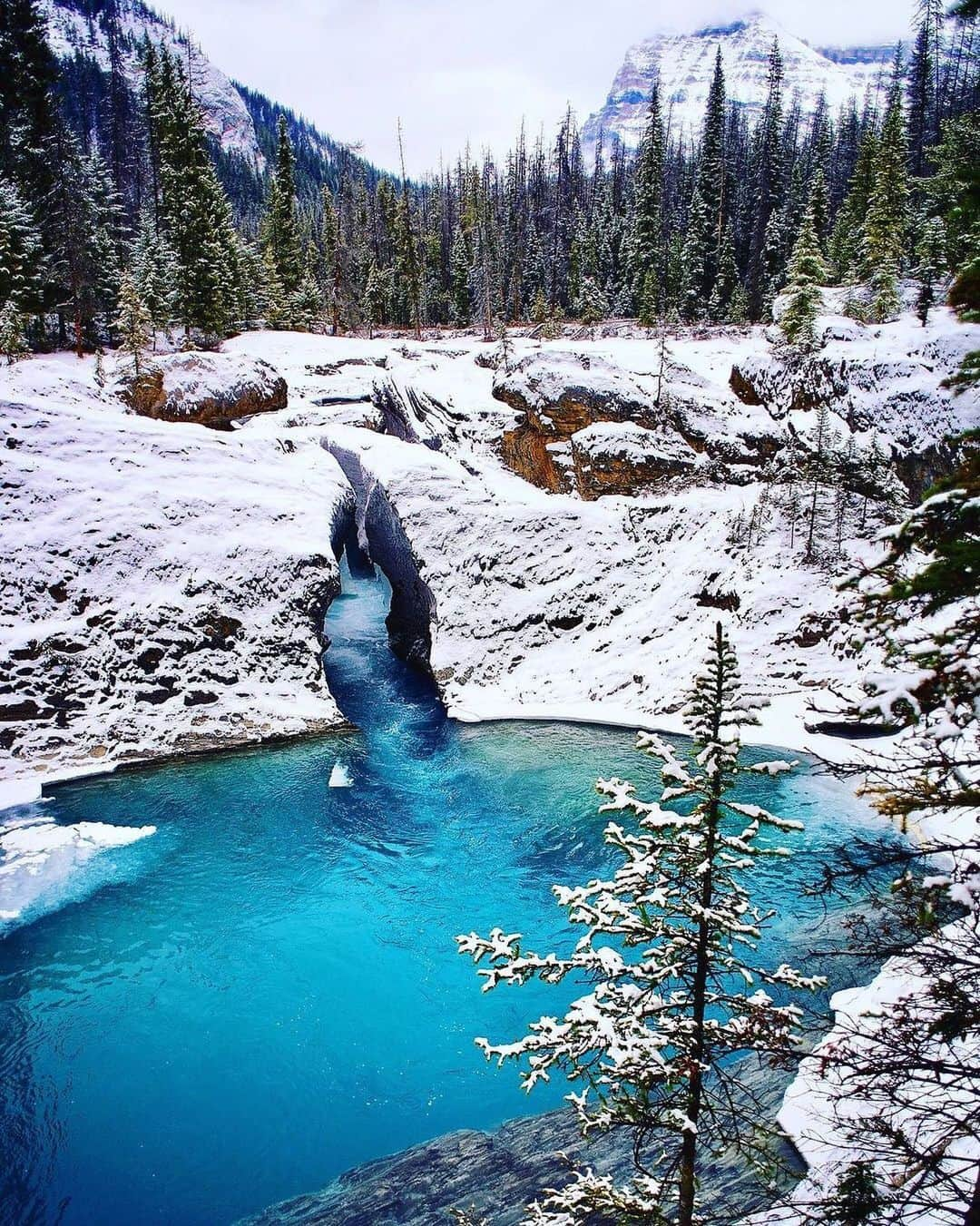 Ricoh Imagingのインスタグラム：「Posted @withregram • @lightworld_travel Winter in beautiful British Columbia 😍 🌲 🏔 👌 🇨🇦」