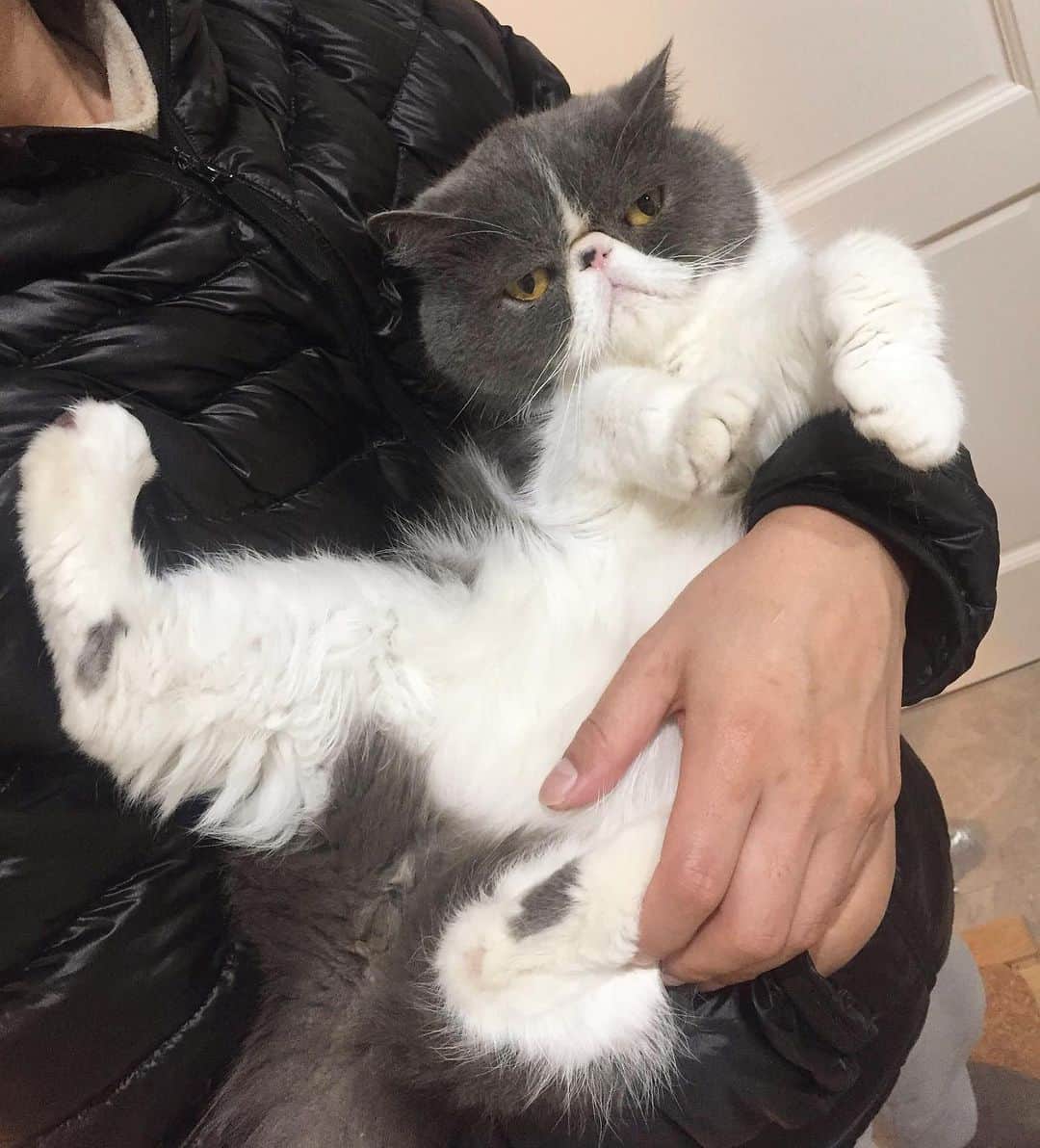 Qのインスタグラム