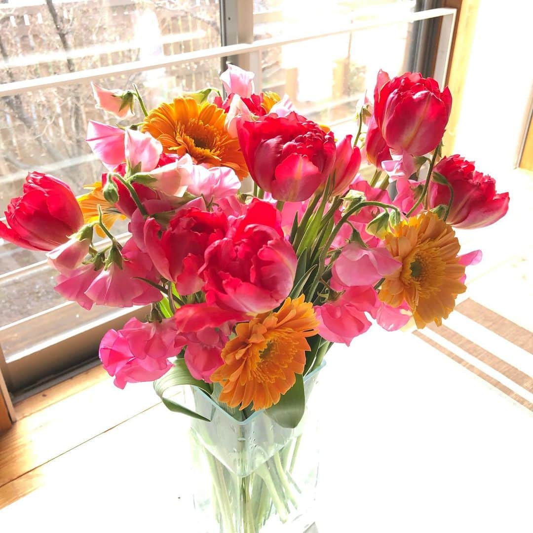 中山千桂子さんのインスタグラム写真 - (中山千桂子Instagram)「. 【花便り】 . 春の花を飾りました . #チューリップ #スイートピー #ガーベラ #春 #暮らしに花を #花好きな人と繋がりたい  #フラワーアレンジメント  #ビビットカラー #原色好き  #可愛い花  #今日もハッピーな1日を  ❤️💖🧡💚」1月27日 8時47分 - nakayama_chikako