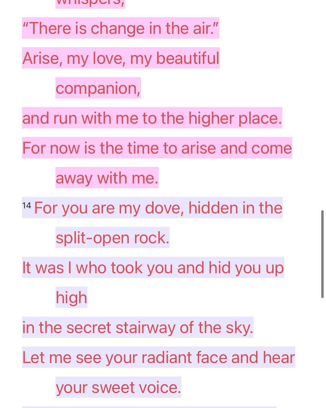 Meredith Fosterさんのインスタグラム写真 - (Meredith FosterInstagram)「Living water satisfies the soul 🕊  For the Lamb in the center of the throne will be their shepherd, and will guide them to springs of the water of life and God will wipe every tear from their eyes.” Revelation 7:17」1月27日 9時01分 - meredithfoster