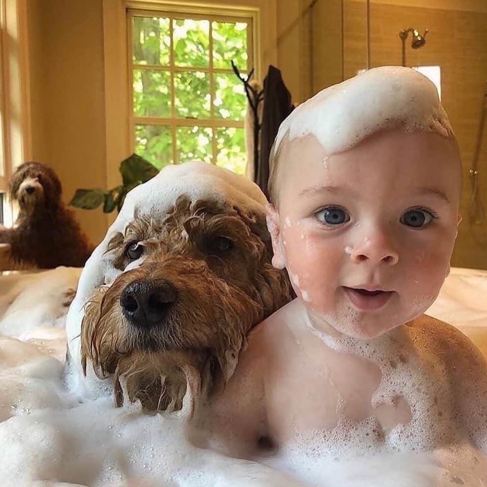 Style Fashion Luxuryのインスタグラム：「Bath time 😅  By @samsonthedood」