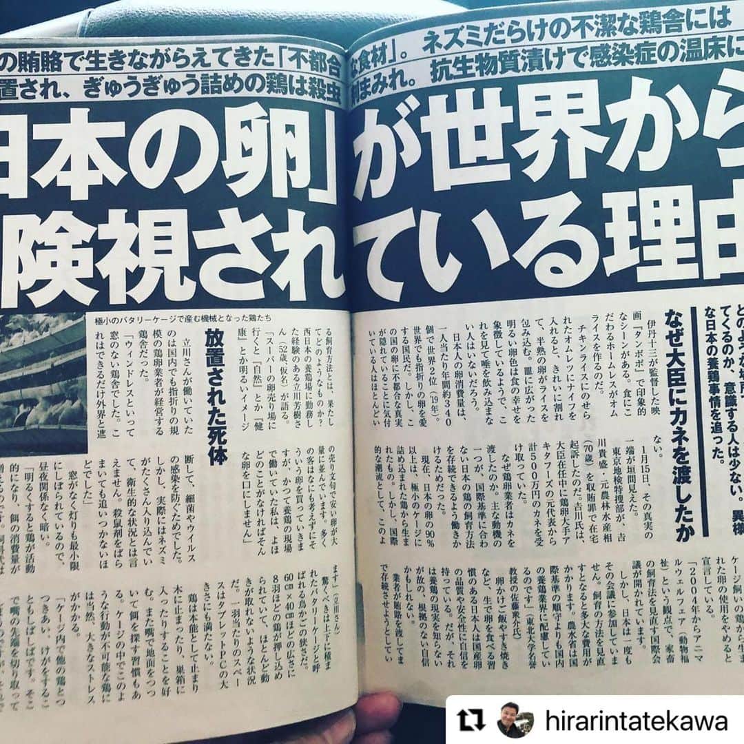 杉本彩のインスタグラム：「* * 卵を食べるなら、安い卵を選ばないこと。 政治腐敗のせいで、動物にとっても、人にとっても大切なアニマルウェルフェアが無視されてきたことに怒りを禁じ得ません。 このことは、Evaニュースの最新版でもコラムに書きましたのでご覧いただければと思います。  「週刊現代」の記事をアップされている落語家の立川平林さんのInstagramをrepostさせていただきます！  　　　↓↓↓  #Repost @hirarintatekawa with @make_repost ・・・ ただ今、発売中の週刊現代にて。日本の卵は、危ないこと。安いバタリケージの卵は、ただの賄賂により存続できていること、鳥インフルエンザの温床であること出ています。どんなに良さそうな名前の付いた卵でも、ケージはみんな最悪ですよー！消費者も、飲食店さんも、正しい選択を！  #バタリーケージ #卵料理  #アニマルウェルフェア #週刊現代」