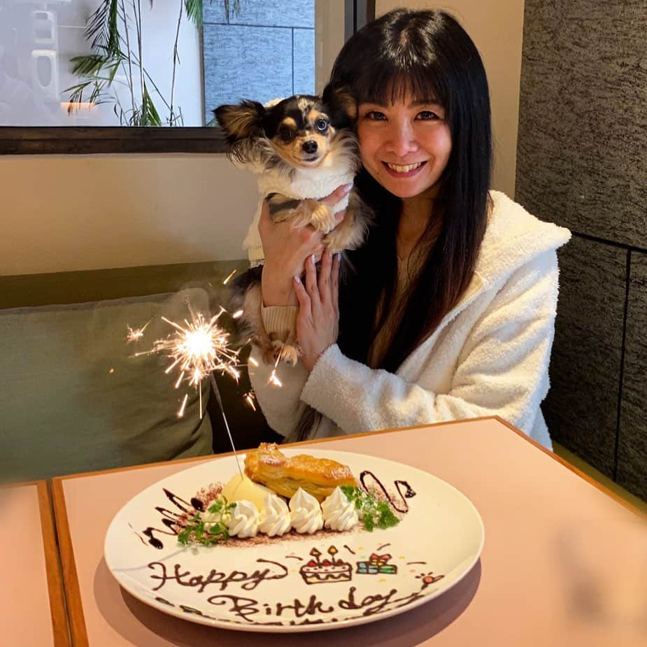 外村美姫さんのインスタグラム写真 - (外村美姫Instagram)「‪❤️HAPPY BIRTHDAY TO ME❤️❤️プロフィールからブログに飛べます❤️ ‬.☕️. ‪ #外村美姫 #しまむらコーデ #プチプラコーデ #今日のコーデ #しまむら #しまパト #しまむら購入品 #ティファニーと朝食を #チワックスティファニー #バースデープレート #誕生日ケーキ #インプレストカフェ  #水瓶座 #誕生日 #happybirthday #1月27日生まれ #オッドアイ #Tiffany #チワックス倶楽部 #チワックス部 #Chihuachshund #いぬすたぐらむ #ミックス犬 #ワンコなしでは生きて行けません会 #dogstagram #instadogs  #IMPRESTCAFE #aneacafe #hatchobori #店内犬ok」1月27日 19時27分 - mikitonomura