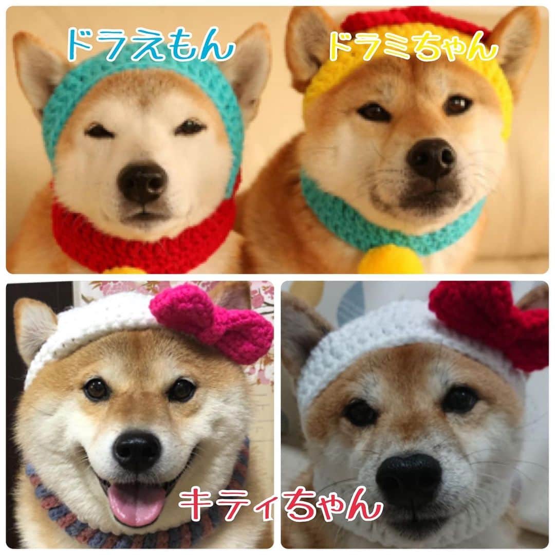 いなりのインスタグラム