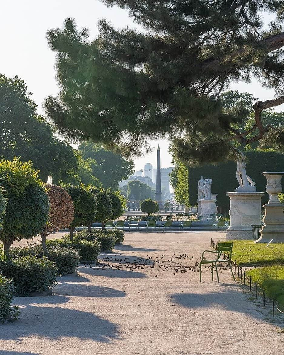 ルーブル美術館さんのインスタグラム写真 - (ルーブル美術館Instagram)「. 🇫🇷 [CONCOURS PHOTO] Merci à toutes et tous pour votre participation à notre concours #ObjectifTuileries ! 👏 - 🏆 📸 Aujourd’hui, nous vous révélons la photo gagnante : une magnifique prise de la perspective de la Grande Allée par @chrissdelo. Bravo à lui, il remporte un Tea Time pour deux personnes à l’Hôtel @lemeuriceparis suivi d’une visite exclusive du jardin des Tuileries. - 🌳 👀  Organisé à l’occasion de notre campagne #TousMécènes ! des Tuileries, ce concours s’achève alors que les 92 ormes commencent à être plantés dans la Grande Allée. Nous vous remercions une nouvelle fois de votre généreuse mobilisation, qui permet la restauration de ce joyau des jardins « à la française » ! — — — 🌎 [PHOTO CONTEST] Thank you all for you participation in our contest #ObjectifTuileries! 👏 - 🏆 📸 Today, we reveal the winning picture: a beautiful shot of the perspective of the Grande Allée by @chrissdelo. Congratulations! You win a Tea Time for two at the 5-star luxury hotel @lemeuriceparis followed by a private tour of the Tuileries Garden. - 🌳 👀 Organised on the occasion of our campaign Become a Patron ! of the Tuileries, this contest ends while we start to plant the 92 elms along the Grande Allée. Thank you again for your generous mobilization, allowing us to restore this jewel of the French gardens! . . . #Louvre #MuséeDuLouvre #Concours #Contest #Photo #Tuileries #TuileriesGarden #JardinDesTuileries」1月27日 20時02分 - museelouvre