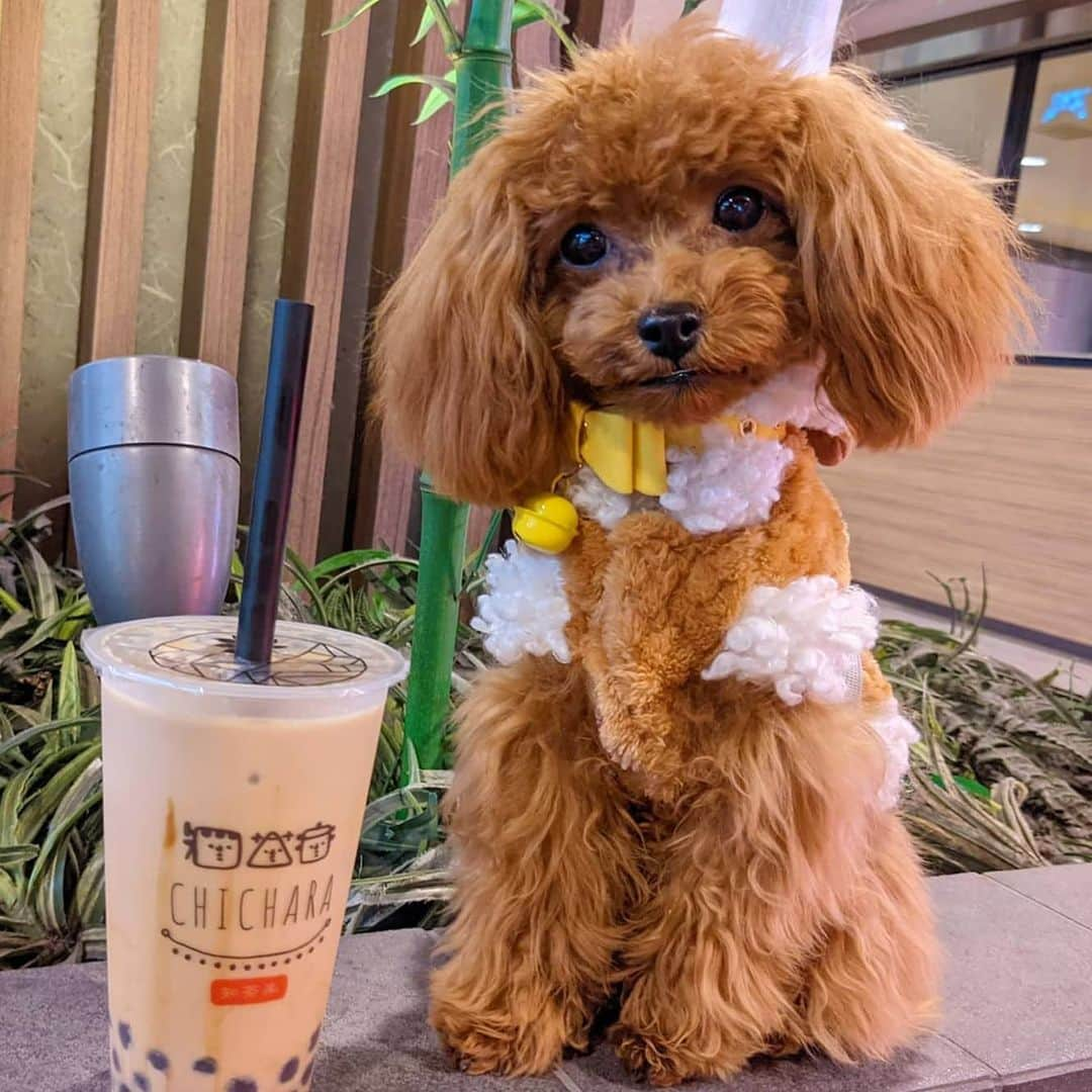 雨宮めるのインスタグラム