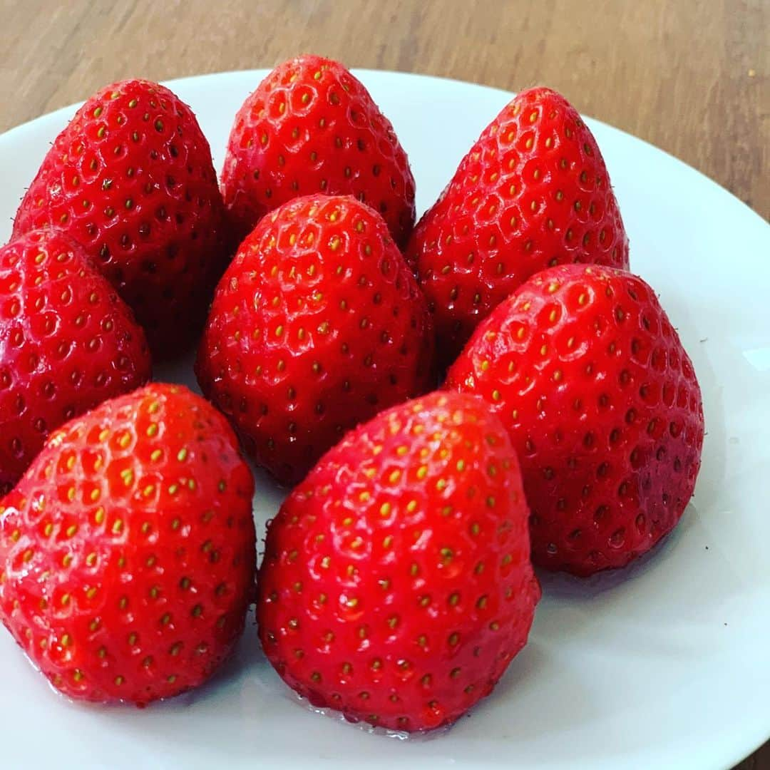 金村義明さんのインスタグラム写真 - (金村義明Instagram)「肉カス月見うどん！ てっちゃんの苺🍓 宝塚牧場ヨーグルト！ オオカミの桃　牛乳　キムチ 免疫力アップ⤴️⤴️⤴️⤴️」1月27日 11時20分 - yoshiaki_kanemura