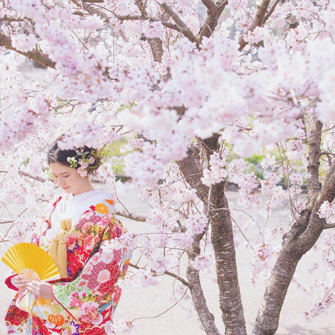CLAIREのインスタグラム：「桜ロケーション受付中🌸 ・ @clairebridalstudio」