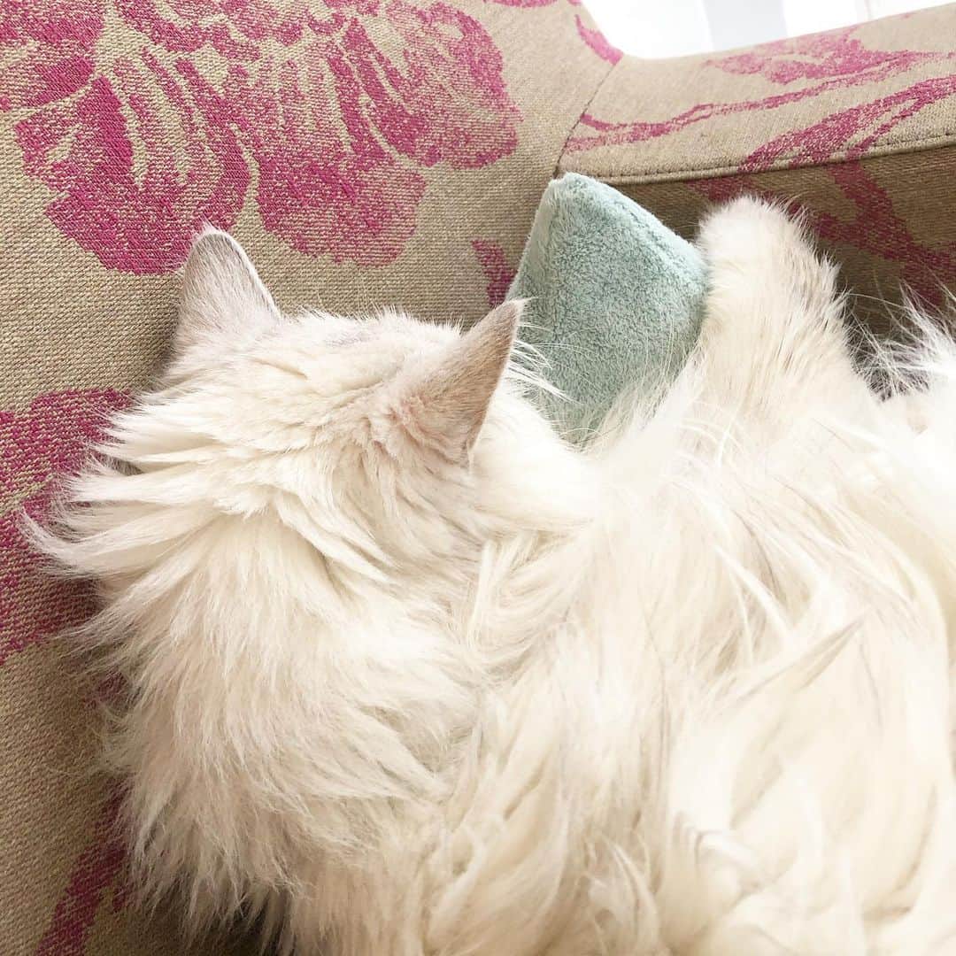 純名里沙のインスタグラム