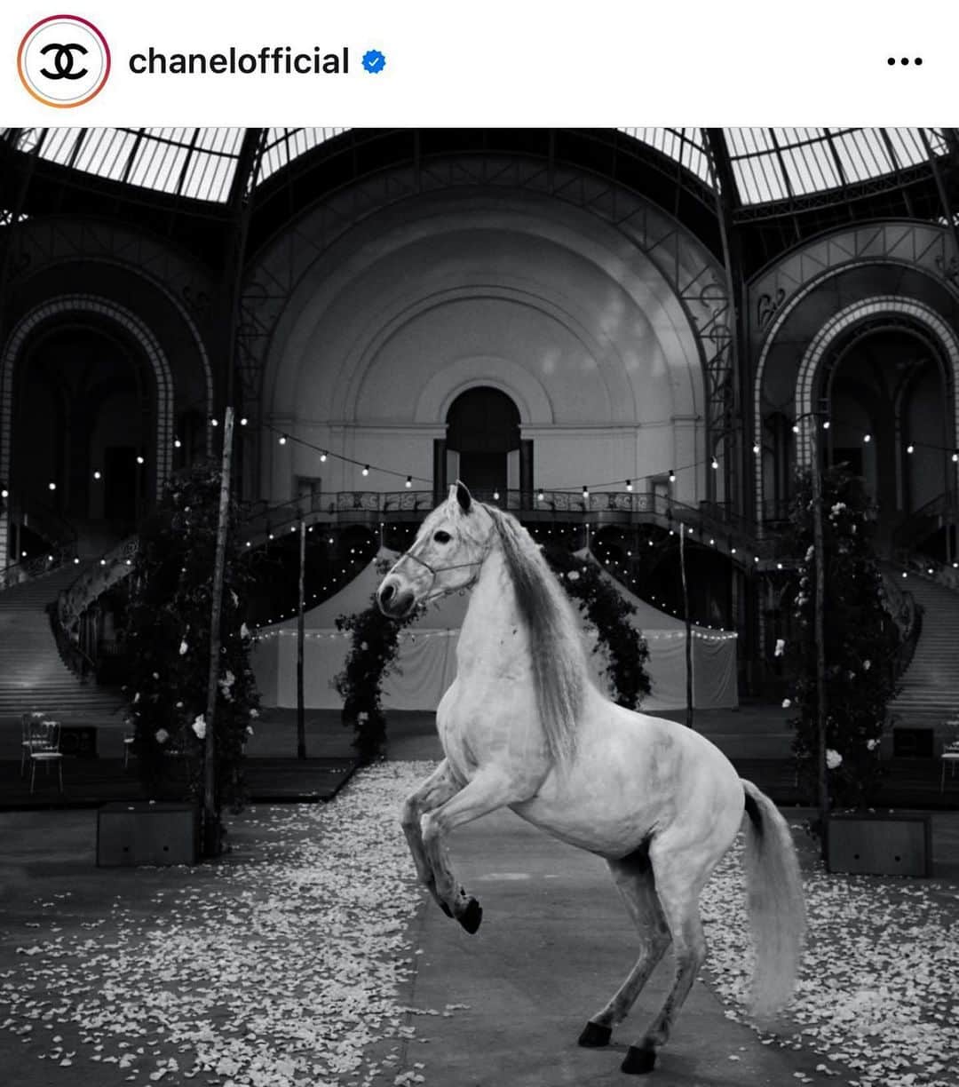 G-DRAGONさんのインスタグラム写真 - (G-DRAGONInstagram)「#AD @chanelofficial #CHANELHauteCouture」1月27日 12時34分 - xxxibgdrgn