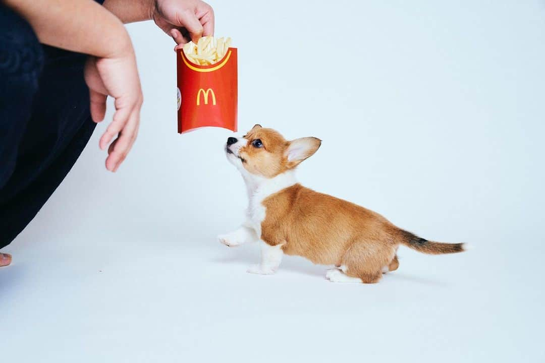 トミーのインスタグラム