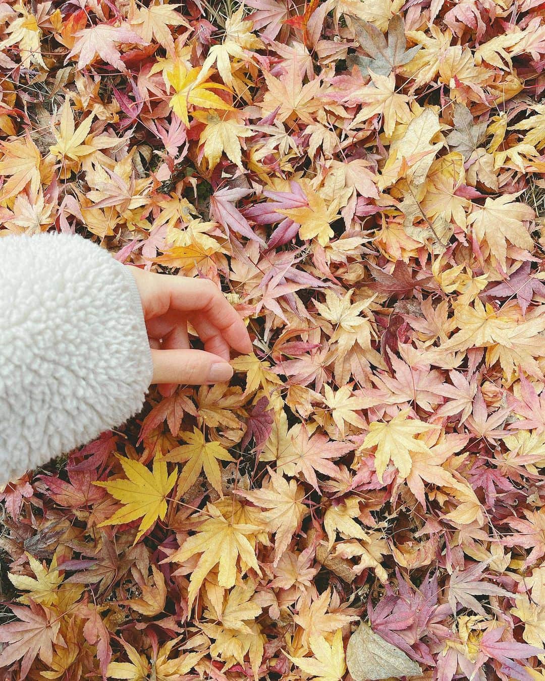 結城はゆるのインスタグラム：「🍁🍂🍃👟 はよぅ、あったかくならんかなぁ💭 . . . . .」