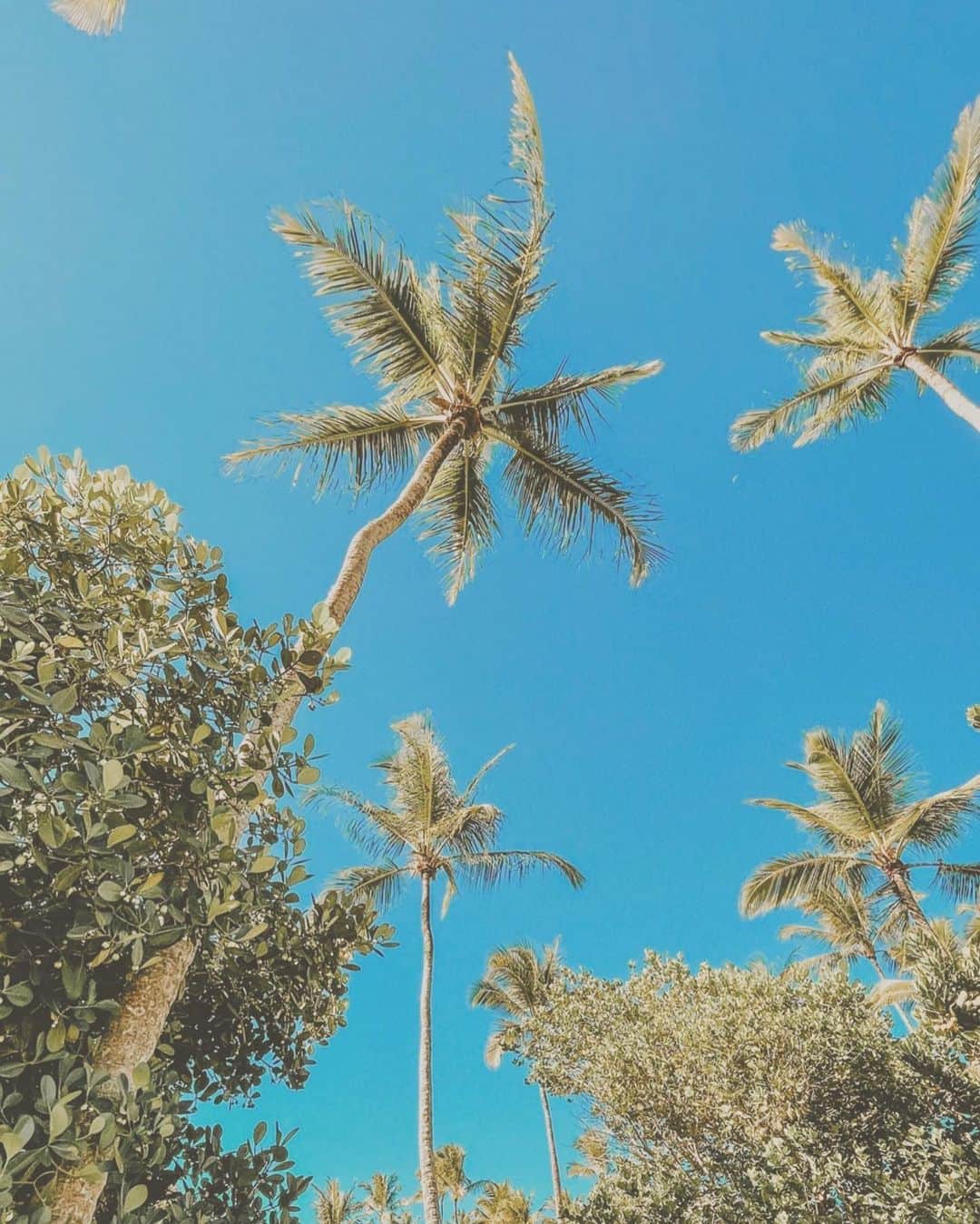 野田萌のインスタグラム：「🌤」