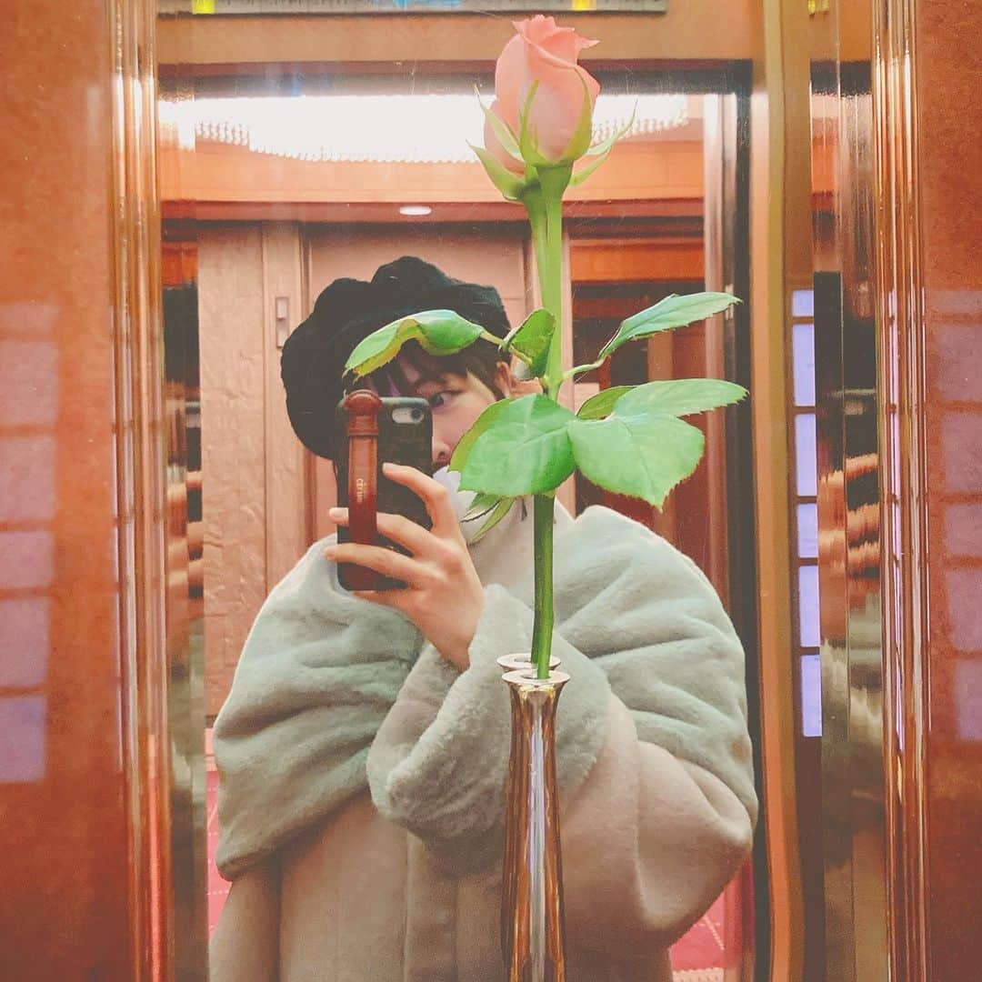 柴小聖さんのインスタグラム写真 - (柴小聖Instagram)「薔薇の花かわいい🌹  将来はおしゃれにお花いっぱい飾れるお家にしたい😬  (猫に全部倒されるw))  コートはお気に入りの @labelleetude_official   珍しく私でも長く着られるやつ。  #お花のある暮らし  #selfie #샐카 #꽂 #dinner #chinesefood #밥스타그램  #photooftheday #instagood #ootd #followme #likeforlike #like4like #follow4follow #followforfollow #f4f #粉我 #动漫 #时装 #好吃 #赞 #偶像 #광고 #필름사진 #광고」1月27日 13時59分 - konona.official