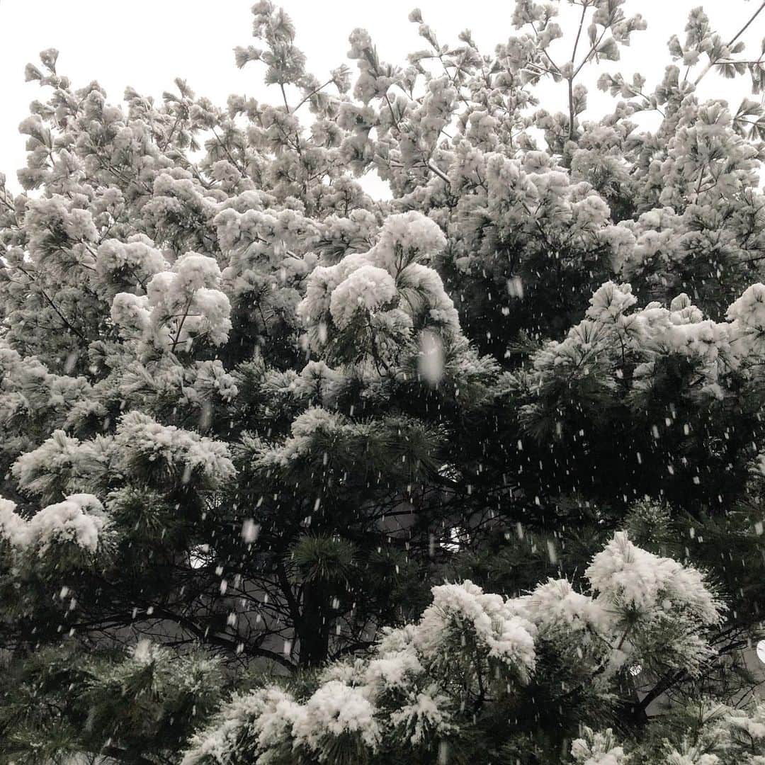 ユン・ジョンソクさんのインスタグラム写真 - (ユン・ジョンソクInstagram)「눈이 내렸을 때.」1月27日 13時59分 - yunbellseok