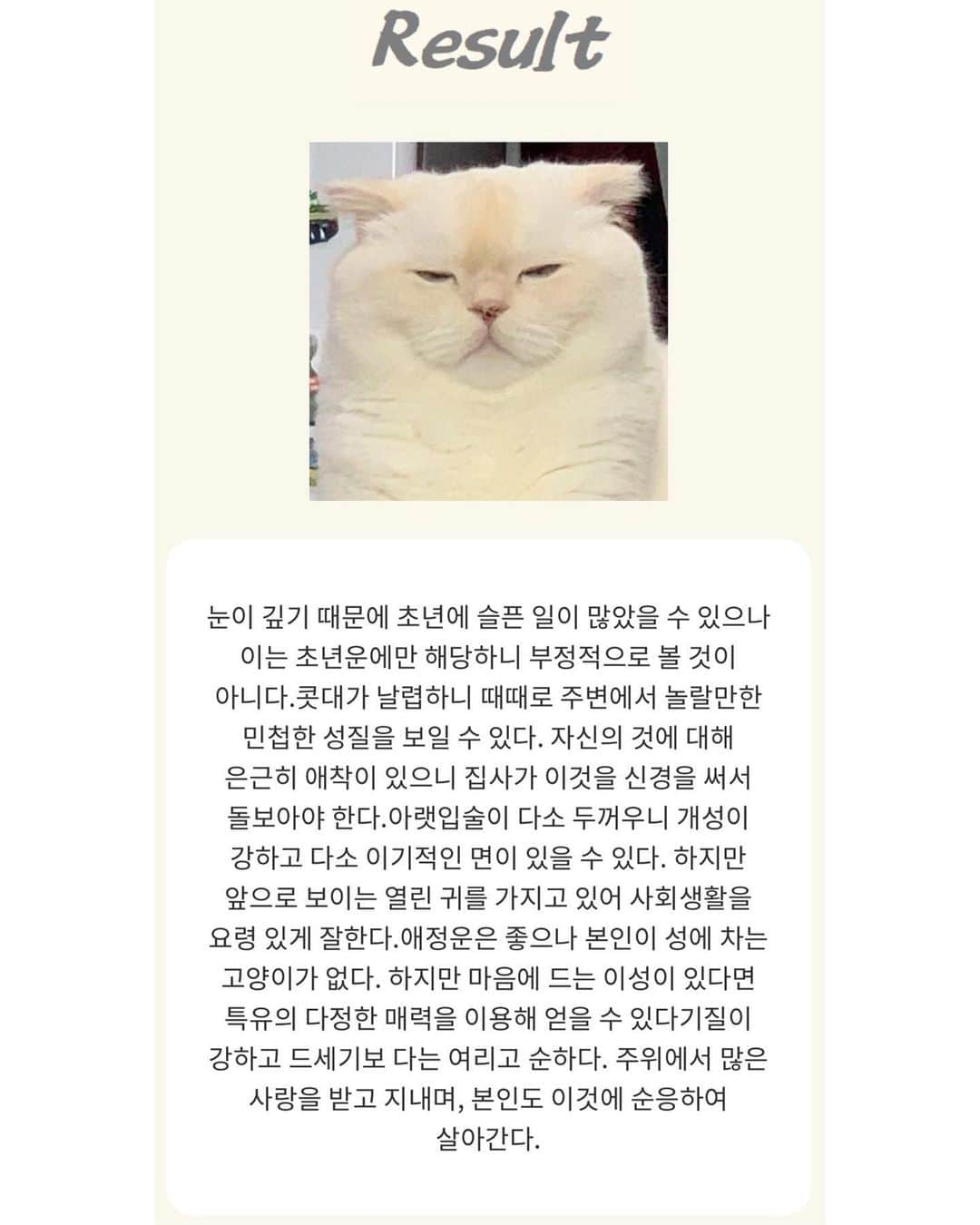 SoonMooさんのインスタグラム写真 - (SoonMooInstagram)「??? : 자네는 영재의 기질을 타고났어  #얼굴영재 #그가모쏠인이유는마음에드는이성이없었기때문 #빈🥜이라서가아님 #고양이관상 #순무 #SoonMoo」1月27日 14時02分 - soonmoo_cat