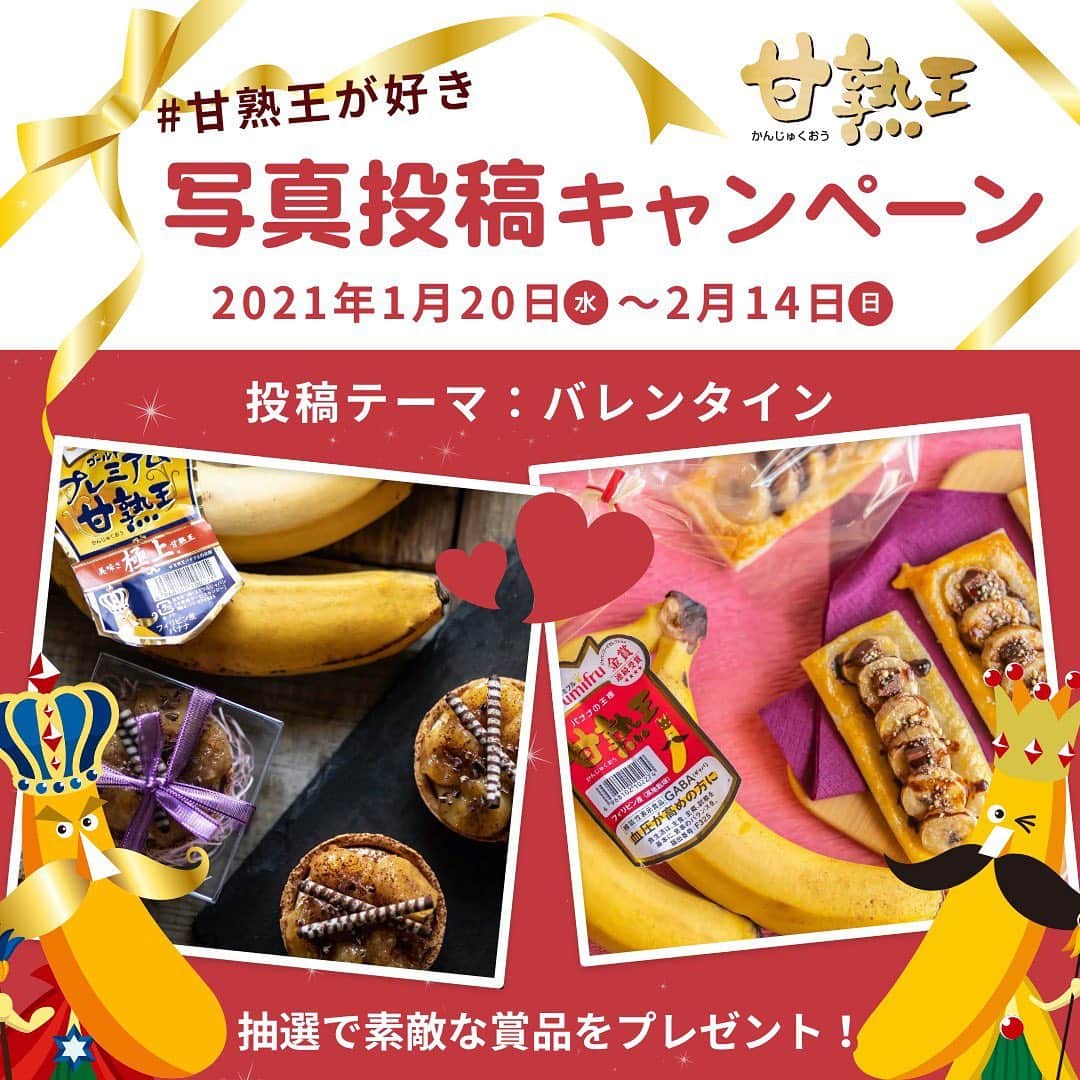Sumifruのインスタグラム：「#甘熟王が好き 写真投稿キャンペーンのお知らせです☆  2月14日は  #バレンタイン  甘くてコクのある、甘熟王シリーズのバナナで すてきなチョコバナナスイーツを作ってみませんか？  【キャンペーン概要】 #甘熟王ゴールドプレミアム  または  #甘熟王  の商品ラベルが写ったバレンタインらしい画像を #甘熟王が好き  を付けて投稿してくださった方の中から、抽選で50名様に甘熟王バナナを使った 「しみこみ贅沢ショコラ（濃厚バナナ）2個セット」をプレゼント♪  【応募期間】1/20（水）～2/14（日）23：59まで ※参加方法は、キャンペーン投稿画像の2枚目をご覧ください。  【本キャンペーンについてのお知らせ】 ・お一人様何度でも投稿は可能ですが、当選は1回のみとなります。 ・当選された方へはInstagramのDMにて当選のご連絡を致します。（2月下旬頃予定） ・非公開アカウントは抽選の対象となりませんので、キャンペーンご参加の際は、公開アカウントにてご参加をお願い致します。 ・本キャンペーンのご当選者は、同時期に同一商品で実施している他のキャンペーンに重複して当選できない場合がございます。  また、フォローで応援してくださると、励みになります！！ 濃厚なコクと旨味の「甘熟王ゴールドプレミアム」・甘くてコクのある「甘熟王」を、ぜひ今年のバレンタインにいかがですか？  #甘熟王が好き #スミフル #キャンペーン #バレンタイン手作り #バレンタインレシピ #バレンタインデー #友チョコ #チョコレート #ビタミン #チョコバナナ #栄養 #バランス #健康 #バナナはスミフル」
