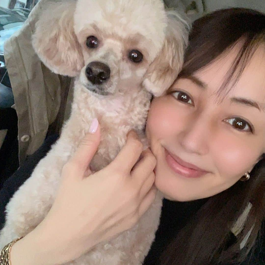 矢田亜希子さんのインスタグラム写真 - (矢田亜希子Instagram)「一緒にお仕事♪ #toypoodle #トイプードル#撮影#もなか#愛犬」1月27日 16時15分 - akiko_yada