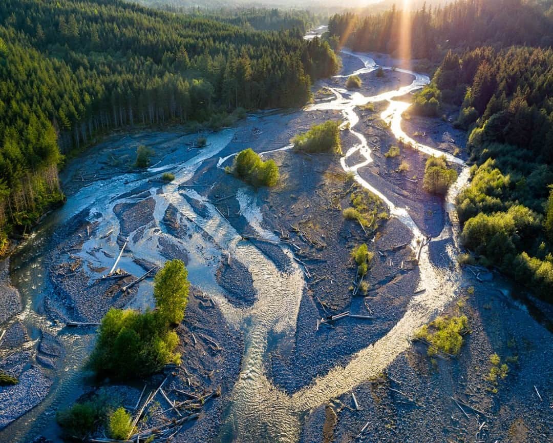National Geographic Travelさんのインスタグラム写真 - (National Geographic TravelInstagram)「Photo by @stephen_matera / Aerial view of the Carbon River at sunset, Central Cascades, Washington. The Carbon River is a braided river. Braided rivers are formed by rivers that carry a large amount of sediment, commonly seen in glacier-fed rivers like the Carbon River, which flows off the Carbon Glacier. The gravel bar islands and river course will change quickly as the river flow fluctuates seasonally and year to year. Follow me @stephen_matera for more images like this from Washington and around the world. #braidedriver #glacierfed」1月27日 16時39分 - natgeotravel