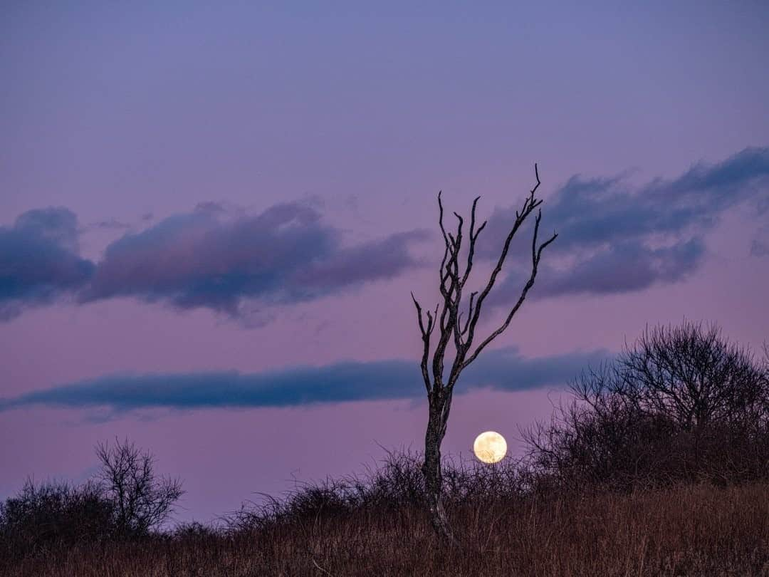 ナショナルジオグラフィックさんのインスタグラム写真 - (ナショナルジオグラフィックInstagram)「Photo by @stephenwilkes / A beautiful full moon on Block Island. To see more from my travels near and far, follow me @stephenwilkes. #fullmoon #blockisland #nightsky #nightphotography」1月27日 16時39分 - natgeo