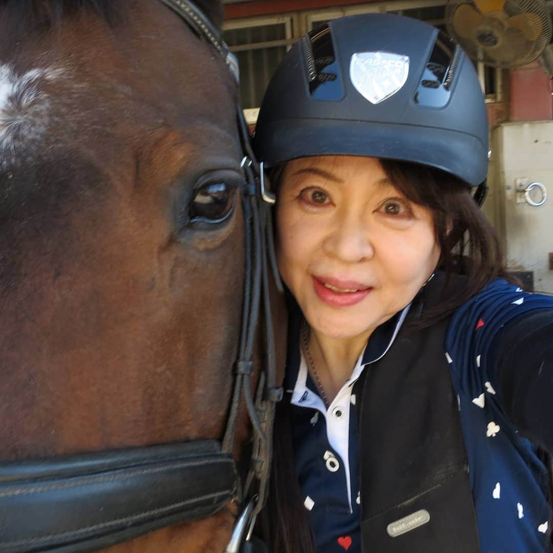のインスタグラム：「自撮り写真😵💦 1/22乗馬日記「でもかわいい」タマモラッシュ 乗馬日記いきまーす。  12月に引き続き、タマモラッシュ！　タマちゃん。  ということで、レッスンは、タマちゃんこと「タマモラッシュ」 タマ、少し口が堅いようで、昔のイメージと少し違うかな。 っと、前回思いましたが、 今回はさらに、右手前も左手前も、頸が左に向いたまま。  それをまっぐにすることだけに、意識がいってしまいました。  なので、右手綱が必然的に強く持ってしまったため、タマちゃん、痛かったと思います。 ごめんね。 レッスンは、撃沈でしたが、でも、タマかわいい🎵    もう16歳になるのですね。  4歳くらいの時に来たのかな、たしか。  長年頑張ってくれています！  「タマ、ありがとう」  ￼    宇月田麻裕の幸せぴょんぴょん！: 2011年3月￼mahiro.nifty.com    タマモラッシュ    タマモラッシュ  競走馬データ - netkeiba.comタマモラッシュの競走馬データです。競走成績、血統情報、産駒情報などをはじめ、50万頭以上の競走馬、騎手・調教師・馬主・生産者の全データがご覧いただけます。￼db.netkeiba.com￼    競走馬のままの名前です🐎 ￼  乗馬日記、次回に続く。  これ、自撮り」