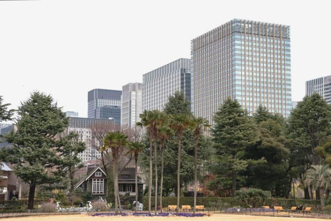 のインスタグラム：「「日比谷公園／ Hibiya park(2021.1.6撮影)」最寄り駅：日比谷駅  #大噴水  #皇居　#日比谷公会堂　#野外音楽堂　#千代田区　#日比谷線　#花壇 #tokyotokyo #tokyogram #moodygrams #jp_gallery #ptk_japan #gdayjapan #realtokyo #beautifuldestinations #tokyojapan #instatokyo #loves_nippon #phos_japan #bestjapanpics #cooljapan #japan_of_insta #photo_jpn #illgrammers　 #景色 #東京 #Tokyo #东京 #도쿄 #tokyogood」