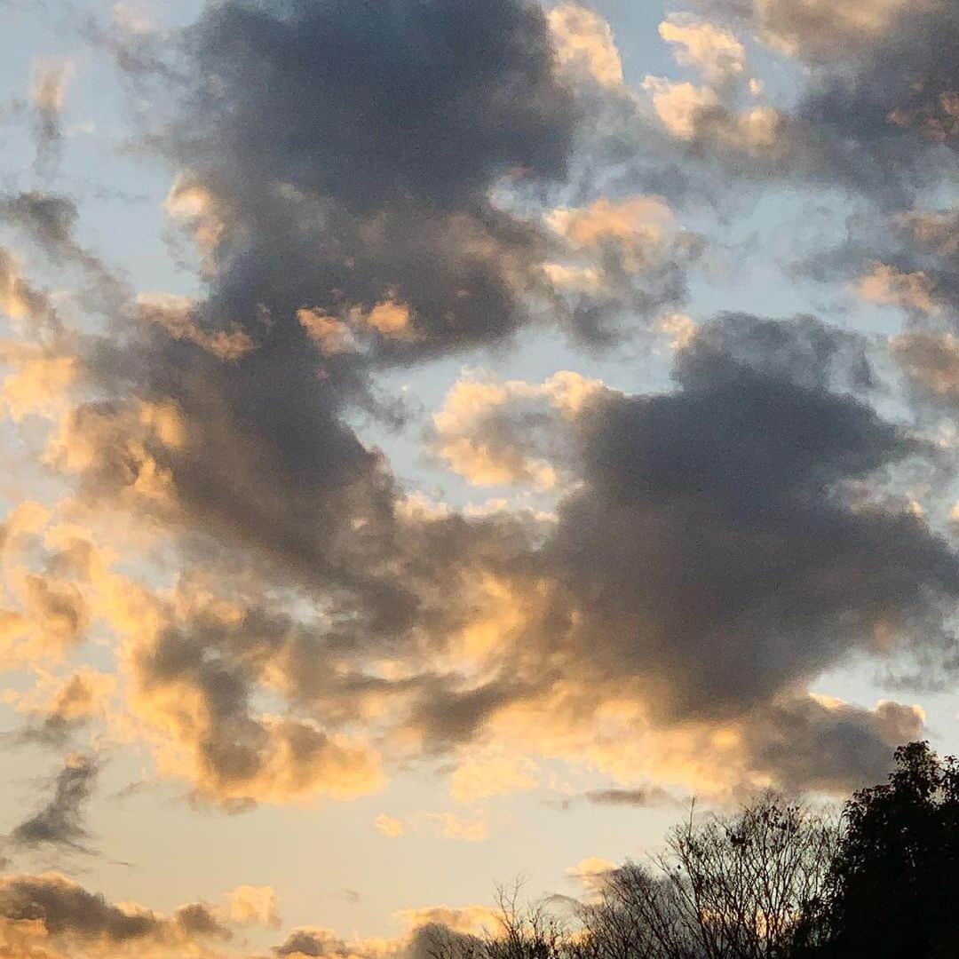 黒沢薫さんのインスタグラム写真 - (黒沢薫Instagram)「#sunset #tokyo #feelgood #instaview  #lovelife #イマソラ」1月27日 17時08分 - kaorukurosawa_lovelife