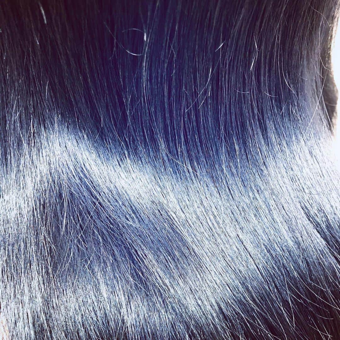 奥野香耶さんのインスタグラム写真 - (奥野香耶Instagram)「💙💙💙 髪色を変えて、エクステもつけてもらいました🚲🚲🚲 光によって、黒髪だったりネイビーだったりブルーだったり✨ すっかりネイビーカラーにハマってしまった🥣 ・ ・ @vaice_kazu さんありがとうございます✴︎  #vaice #渋谷 #haircolor #ネイビーカラー #ネイビーブルー #エクステ#ストレートヘア #japanesegirl #셀피 #머리스타그램 #메이크업 #일본인」1月27日 17時19分 - _kayarea_